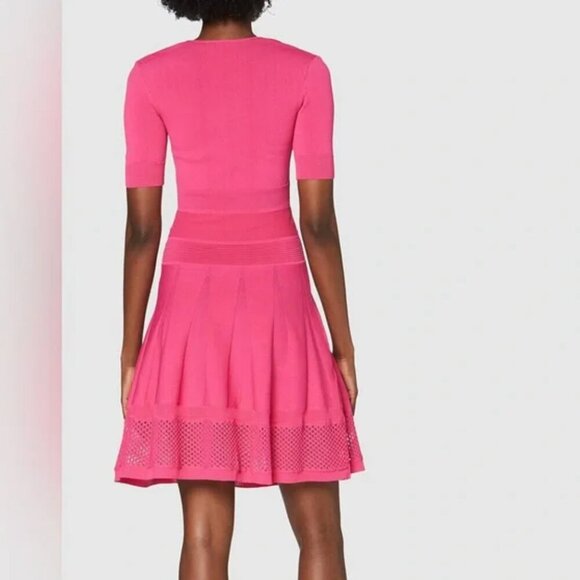 NWT Pinko Fuchsia Pink Fit and Flare Ponza Dress Size Large - Picture 2 of 8